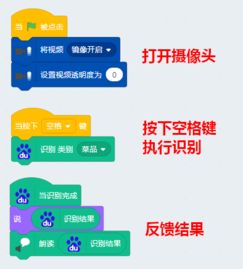 人工智能插件应用 赋能大脑识别与软件开发新纪元